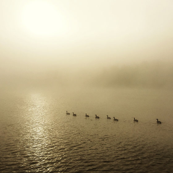 نور در عکاسی موبایل - مه و غبار
