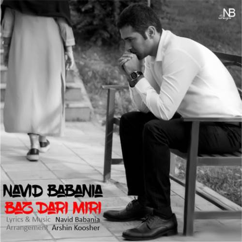 Navid-Babania-Baz-Dari-Miri