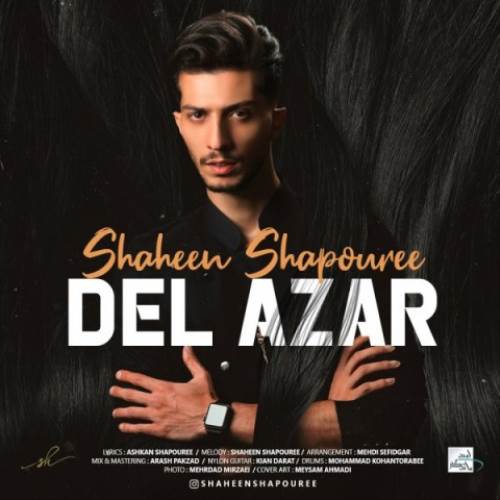 Shaheen-Shapouree-Del-Azar